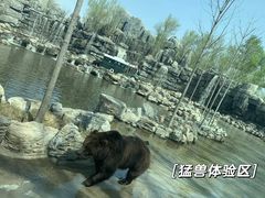 -北京野生动物园