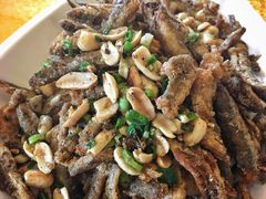 -胖大姐黄辣丁鱼庄(新津店)