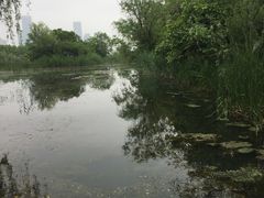 -天鹅湖体育公园