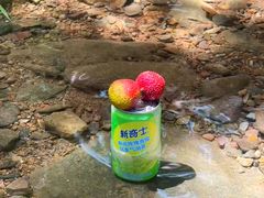 -四明山国家森林公园