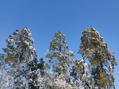 -龙苍沟森林公园