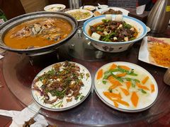 -邵年鸽(杨庄店)