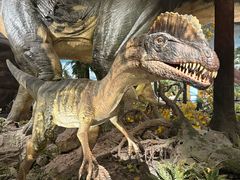 -湖南省地质博物馆