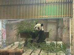 -无锡动物园·太湖欢乐园