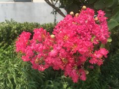 -万源龙顺度假庄园生态观光园