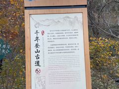-北京鹫峰国家森林公园
