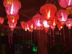 -横店影视城梦幻谷园区