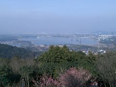 -香雪海