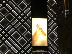-澳门陈光记烧味饭店(南京德基广场店)