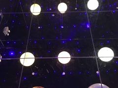 -深圳独角兽星空艺术馆