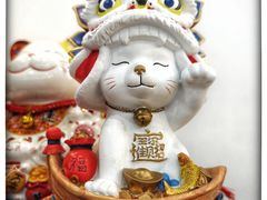 -瑞霖·隆江猪脚饭