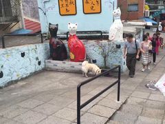 -猫咪博物馆(顶澳仔猫街店)