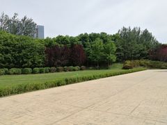 -大望京公园