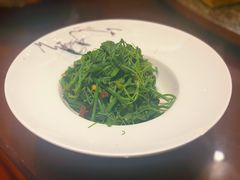 凉拌丝瓜尖-玉华台饭庄·淮扬菜·烤鸭(望京店)