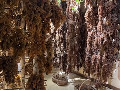 -新疆国际大巴扎