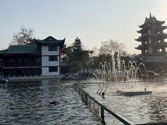 -桂湖森林公园