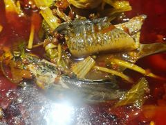 -小饕荟雅安贡椒鱼鲜馆(广福桥店)