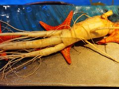 -千岛蚝高压锅生蚝·人参火锅(白云万达店)