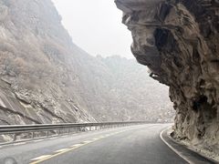 -王顺山国家森林公园