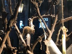 -黄祥华养生堂·炖汤·营养蒸饭(岭南天地店)