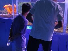 -广州长隆国际大马戏