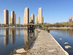 -前关湿地公园