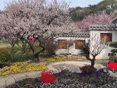 -无锡梅园公园