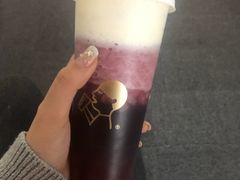 多肉葡萄-喜茶(天津乐宾百货店)