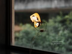 -元白和创园展厅