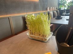 -罗勒家·养生火锅· Bistro(大望路店)