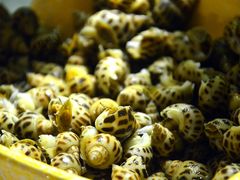 -佰园全日西餐厅-厦门佰翔软件园酒店