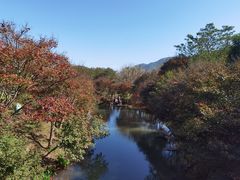 -田野绿世界