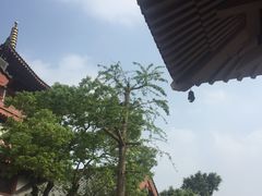 -东部华侨城