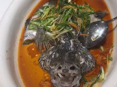 -陶缘一号·四季缘·老字号顺德菜·户外婚礼家宴(西滘店)