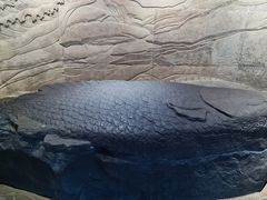 -白鹤梁水下博物馆