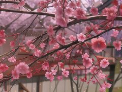 -牛岗山公园