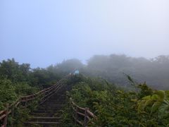-大围山国家森林公园