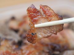 -黄连大头华烧鹅店(大良店)
