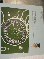 -邦叔叔.亲子全家福毕业照跟拍摄影(嘉定店)