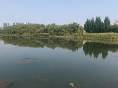 -马家湾湿地公园