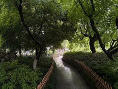 -星巴克(西湖天地店)