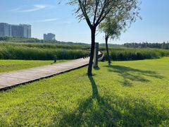 -春花秋色城市公园