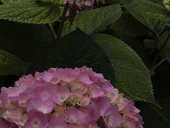 -北京石刻艺术博物馆(五塔寺)