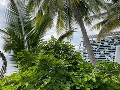 -三亚西岛海洋文化旅游区