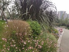 -府河摄影公园
