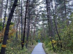 -帽儿山国家森林公园