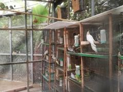 -呀路古热带植物园