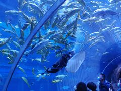 -华夏文旅海洋公园