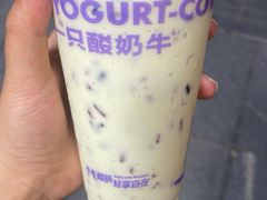 -一只酸奶牛(八一路店)