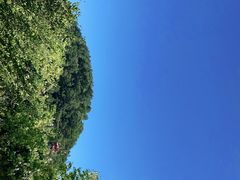 -神光山国家森林公园